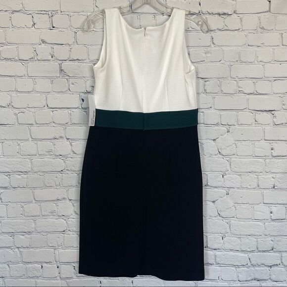 Color Block Dress - Picture 4 of 7